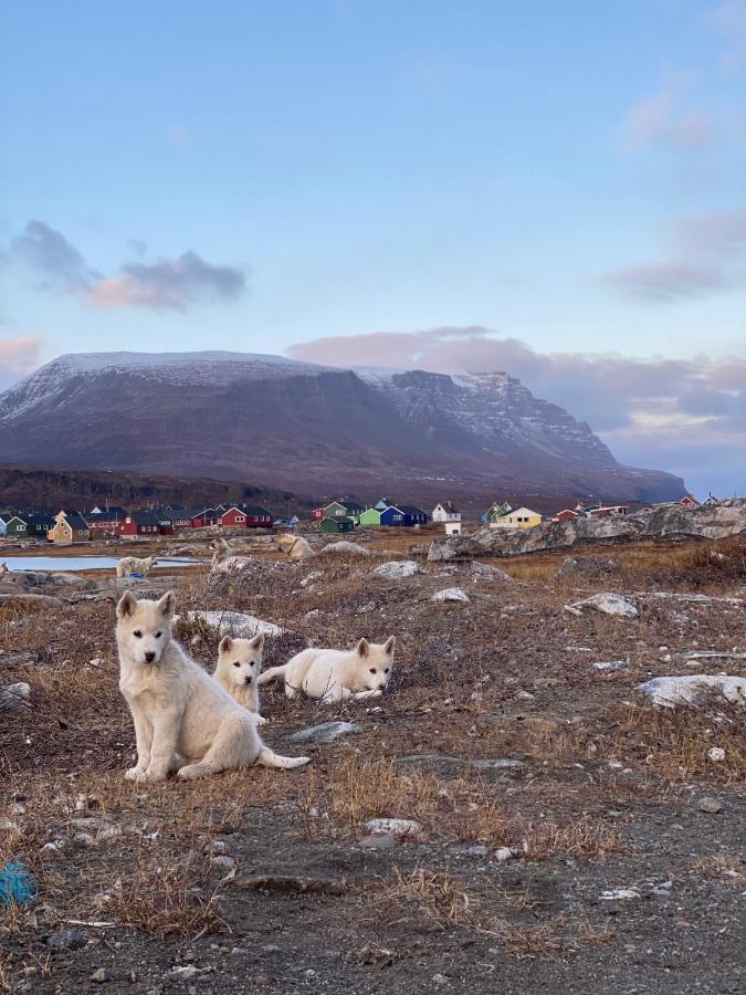 Hotel Disko Island Qeqertarsuaq Kültér fotó